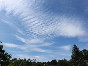Cirrus und Altocumulus im August