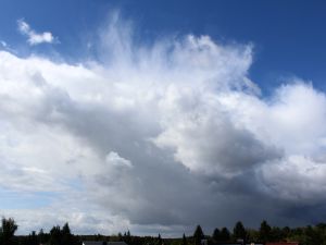in höhenkalter Luft wachsen Schauerzellen