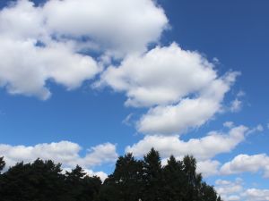mustergültiger Cumulus im Norden
