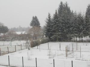 eine dünne Schneedecke