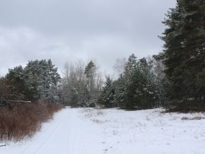 eine dünne Schneeschicht