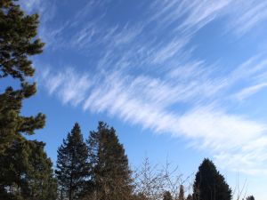 winterlicher Cirrus fibratus