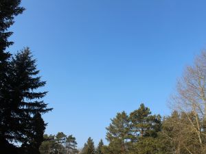 ein sonniger Februartag