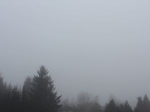 grauer Nebel unter Hochnebel