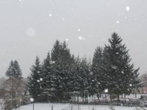 Schneeflocken einer aufgleitenden Warmfront