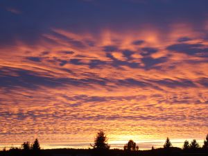 Abendrot an Altocumulus