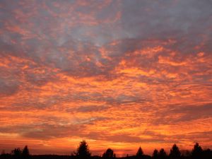 und wieder ein betörendes Abendrot