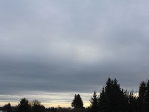 monotoner Altostratus opacus