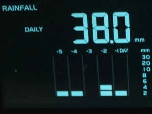 insgesamt fast 40 mm Regen