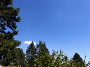 einsamer Cumulus bei schwerer Hitze