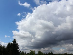 aufquellender Cumulus