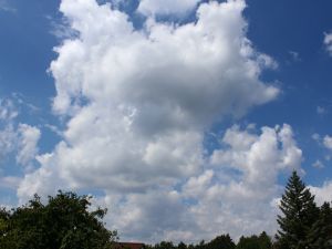 Cumulus und blauer Himmel