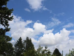 lockere Haufenwolken am Nachmittag