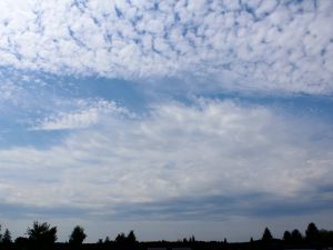 Altocumulus vor der Hitze