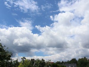 Cumulus am Rande eines Tiefs