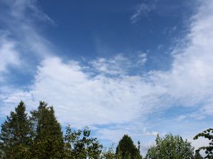 Altocumulus nach Abzug von Cirrostratus
