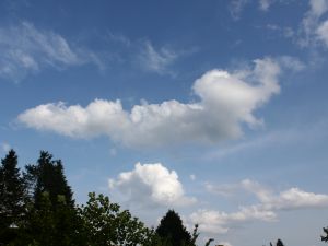 Aufklaren mit etwa Cumulus humilis radiatus