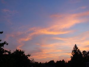 Cirrus am Juniabend
