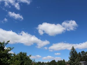 lockerer Cumulus unter blauem Himmel