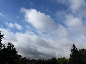 Cumulus in lebhaftem Nordwestwind