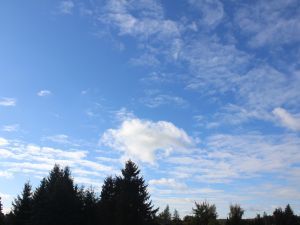 endlich wieder etwas Sonne