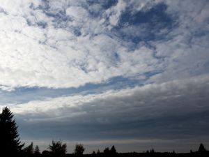 Altocumulus in verschiedenen Arten
