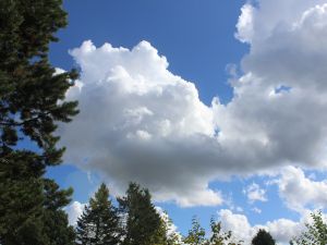 schöne Haufenwolken im September