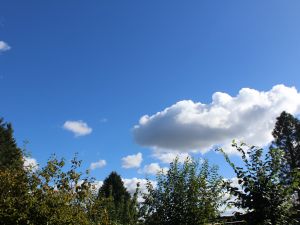 Hoch Petralilly bringt sonniges Wetter