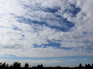 Altocumulus in Reinform