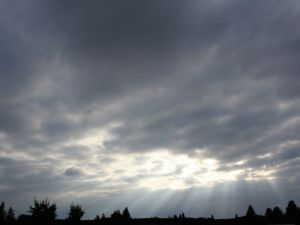 heute Stratocumulus in Reinform