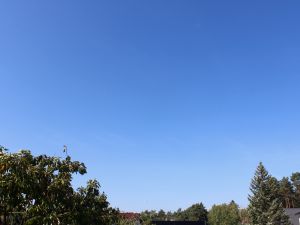 endlich Altweibersommer