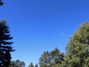 stahlblauer Himmel unter Hoch Petralilly