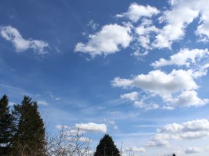 Cumulus humilis und abziehende Eiswolken