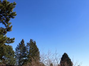 unter Hoch Quirin