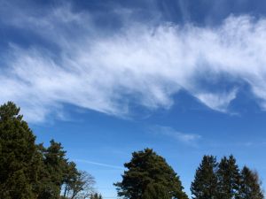 Eiswolken in Form von Cirrus