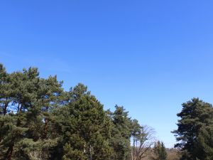 Blick nach Nordosten