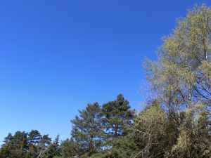 ein sonniger Tag im Fr&uuml;hling