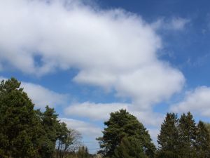 schnell l&ouml;st sich Hochnebel auf