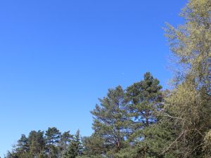 es bleibt sonnig