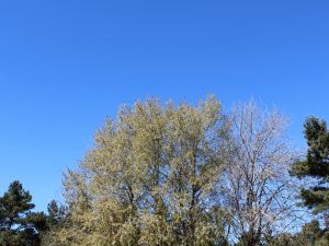 es ist sonnig, aber k&uuml;hl