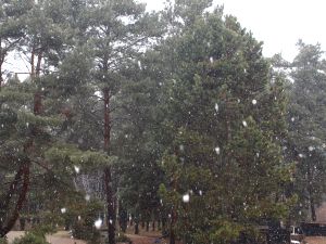 ein paar harmlose Schneeflocken