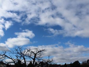 Endlich wieder Auflockerungen