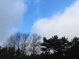 Auflockerung durch Hoch Gerd