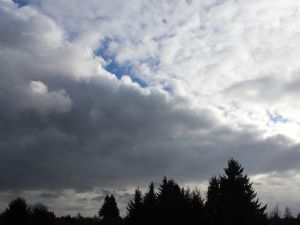 Cumulus in westlicher Wetterlage