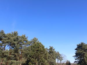 Der Fr&uuml;hling kommt mit blauem Himmel