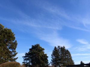 Cirrus im Februar-Fr&uuml;hling