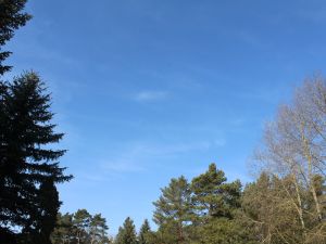 ein warmer Tag im Februar