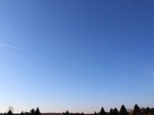 kein Frost an einem sonnigen Tag im Hochwinter