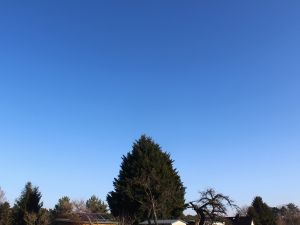 und es bleibt sonnig im Januar 2026