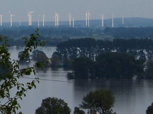 Hochwasser 2013 in Wittenberg